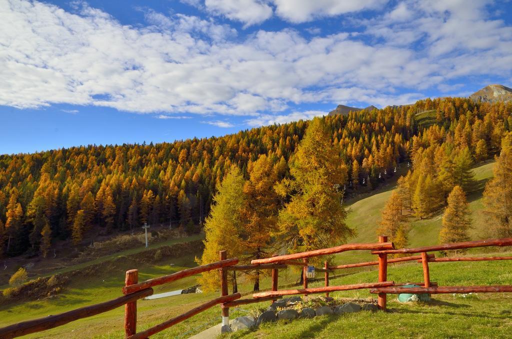 Le Coin Des Melezes - Nature & Trek - Camere In Baita Di Montagna Brusson Exterior foto